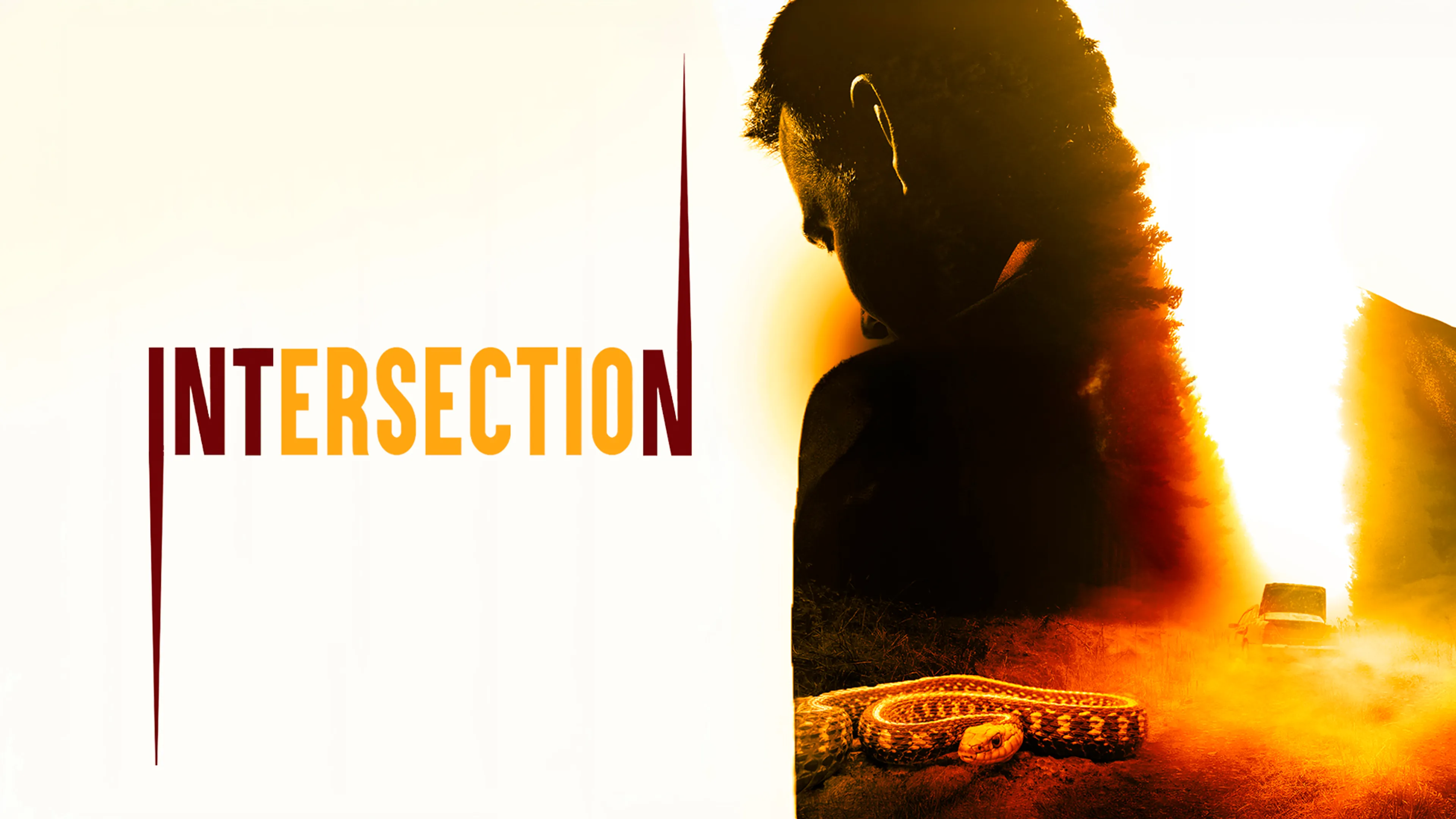 Title poster image
